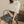 Load image into Gallery viewer, ブロードフリルハーフブラウス
