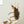 Load image into Gallery viewer, アムレロゴビッグリボンキャップ
