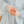 Load image into Gallery viewer, ハイネックレーストップス
